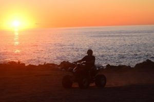 EXPERIENCE, ATV and Camels + Eco-Farm (BWT-100-CAB)