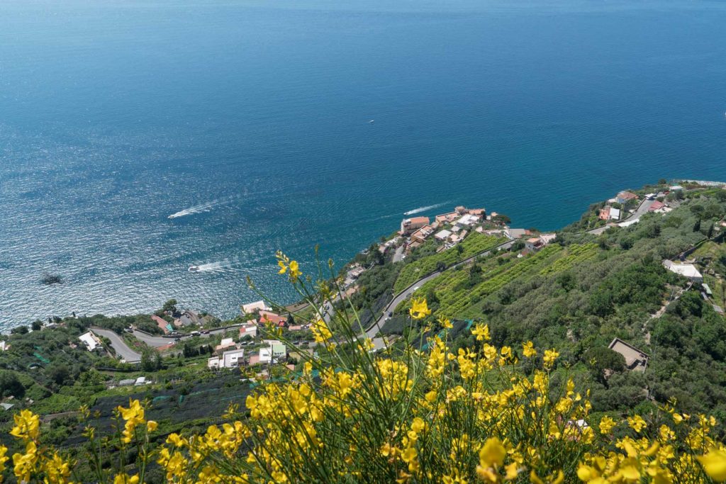 Italy. Flowers over the Mediterranean Sea on the Amalfi Coast.