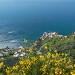 Italy. Flowers over the Mediterranean Sea on the Amalfi Coast.