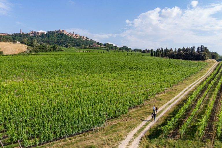 Montepulciano
