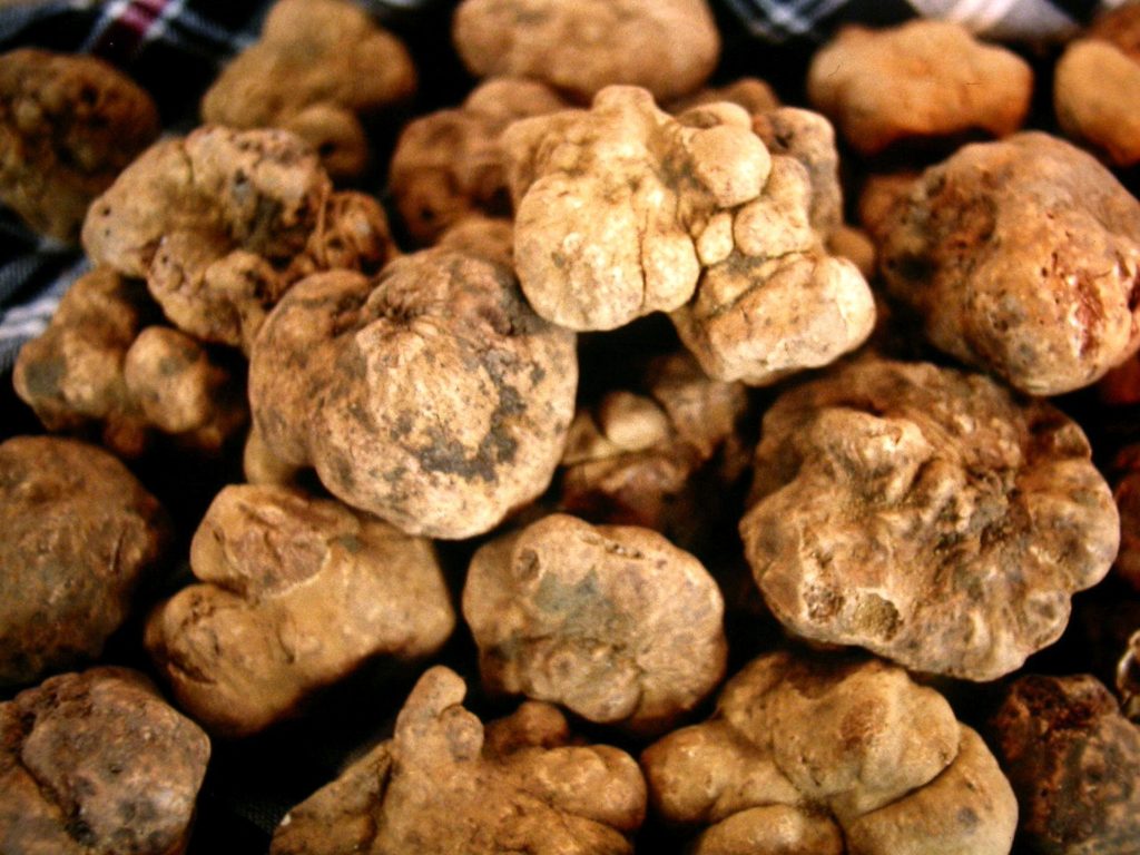 Turin Truffles